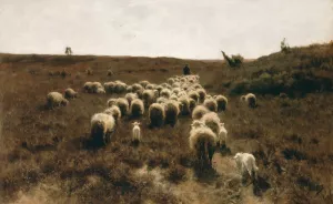 The Return of the Flock, Laren by Anton Mauve Oil Painting