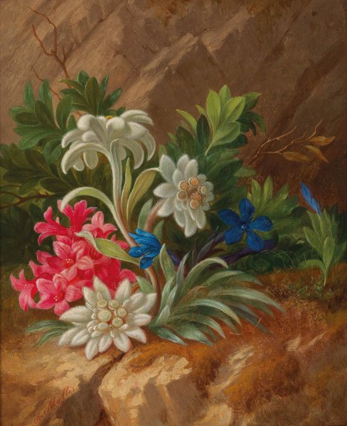 Alpenblumen by Anton Mollis - Hand-Painted Oil Painting Reproduction