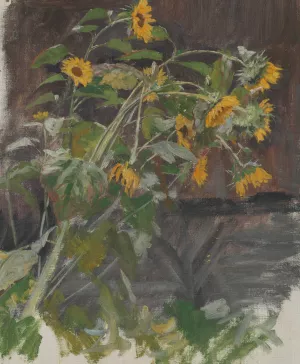 Sonnenblumen by Anton Nowak Oil Painting