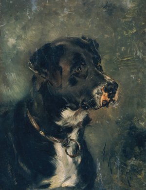 Kopf eines Fleischerhundes Hundekopf by Anton Romako Oil Painting