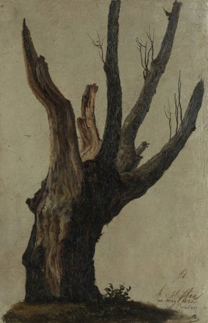 Baumstudie im Prater by Anton Schiffer Oil Painting