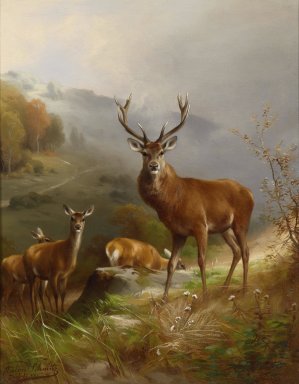 Rotwild by Anton Schmitz Oil Painting