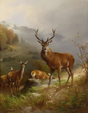 Rotwild by Anton Schmitz Oil Painting