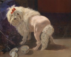 Die zerbrochene Schale by Anton Schrodl Oil Painting