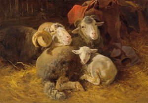 Sheep in the stable by Anton Schrodl Oil Painting