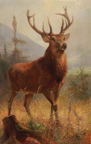 Trophy Stag in an Open Landscape by Anton Weinberger Oil Painting