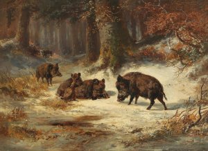 Wild Boars in a Wintry Forest by Anton Weinberger Oil Painting
