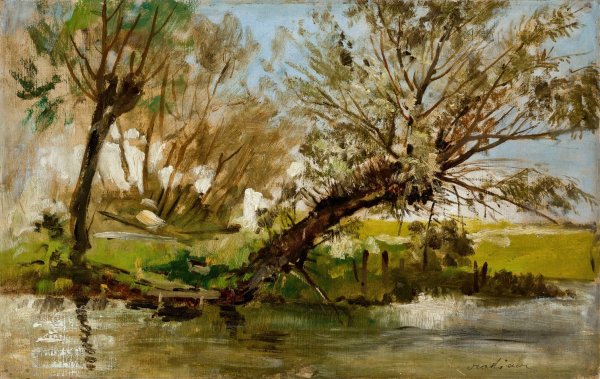 Willows  by Antoni Kozakiewicz - Hand-Painted Oil Painting Reproduction