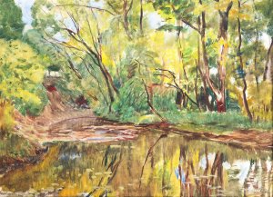 Brook In The Forest by Antonin Hudecek Oil Painting