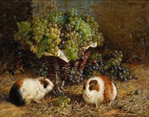 Guinea Pigs And A Basket Of Grapes by Antonio Delle Vedove Oil Painting