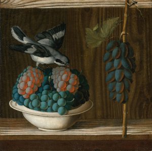 Still Life of Grapes With A Gray Shrike by Antonio Leonelli Oil Painting