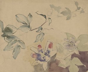 Studieblad met passiebloemen by Antoon Derkinderen Oil Painting