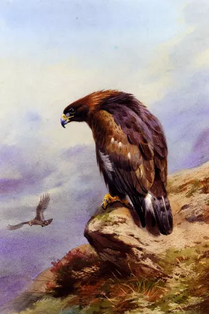 A Golden Eagle by Archibald Thorburn - Oil Painting Reproduction