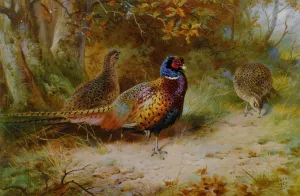 Autumn Covert by Archibald Thorburn - Oil Painting Reproduction