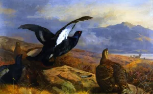 Black Grouse in a Highland Landscape with Red Deer in the Background painting by Archibald Thorburn