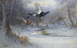 Blackcock And Grouse In Flight - Winter by Archibald Thorburn Oil Painting