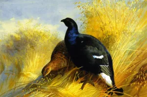 Blackgame on Corn Stocks Oil painting by Archibald Thorburn