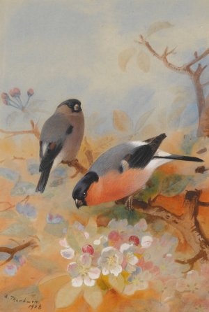 Bullfinches by Archibald Thorburn Oil Painting