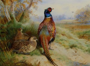 Cock and Hen Pheasant at the Edge of a Wood