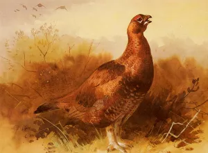 Cock Grouse by Archibald Thorburn - Oil Painting Reproduction