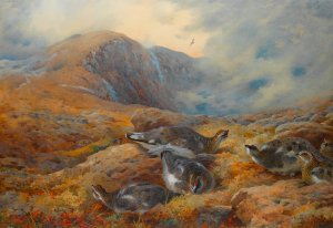 Danger Aloft - Ptarmigan by Archibald Thorburn Oil Painting