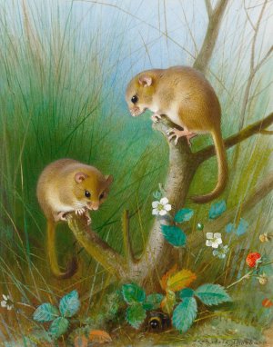 Dormice by Archibald Thorburn Oil Painting