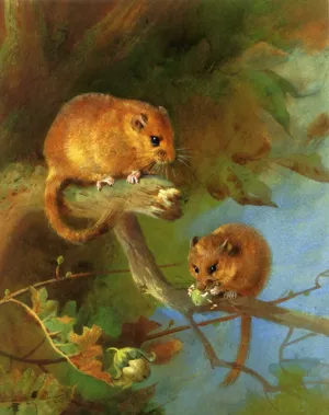 Dormice Oil painting by Archibald Thorburn