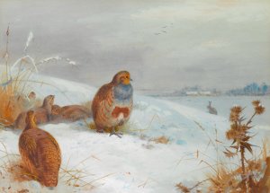 Hard Times - Partridges And A Hare by Archibald Thorburn Oil Painting