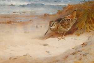 Hungry And Homeless by Archibald Thorburn Oil Painting