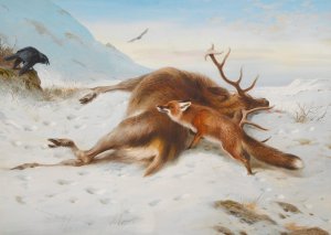 Not For The Larder by Archibald Thorburn Oil Painting