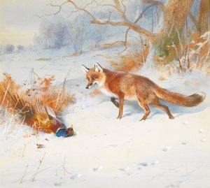Overlooked By The Beaters by Archibald Thorburn Oil Painting