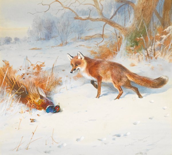 Overlooked By The Beaters  by Archibald Thorburn - Hand-Painted Oil Painting Reproduction