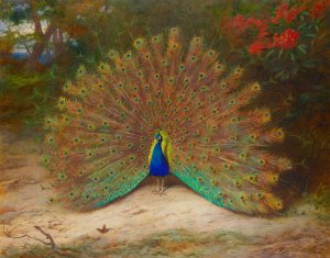 Peacock And Peacock Butterfly by Archibald Thorburn Oil Painting