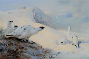 Ptarmigan Calling in the Snow by Archibald Thorburn - Oil Painting Reproduction