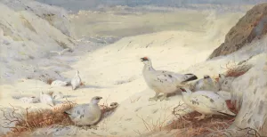 Ptarmigan in winter plumage signed and dated 'Archibald Thorburn. 1899 by Archibald Thorburn Oil Painting