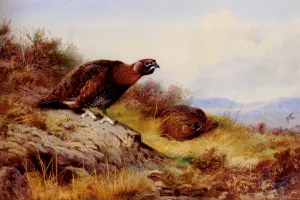 Red Grouse on the Moor by Archibald Thorburn - Oil Painting Reproduction