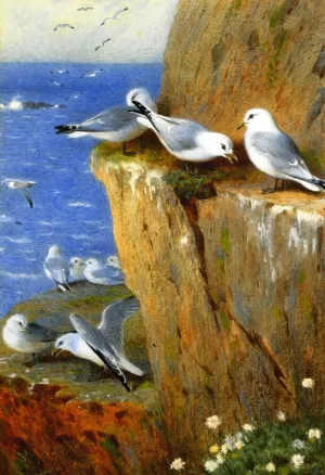Seagulls by Archibald Thorburn - Oil Painting Reproduction