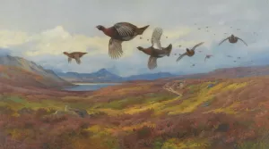 Swerving From The Guns-Red Grouse by Archibald Thorburn Oil Painting