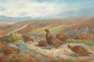 The Old Drove Road by Archibald Thorburn Oil Painting