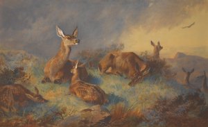 The Watchful Hinds by Archibald Thorburn Oil Painting