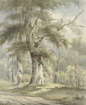 Bosgezicht by Arnoldus Johannes Eymer Oil Painting