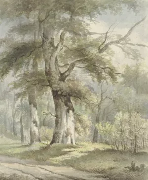 Bosgezicht by Arnoldus Johannes Eymer Oil Painting