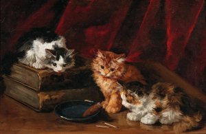 Perplexed Kittens by Arthur-Alfred Brunel De Neuville Oil Painting