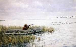 Duck Shooting from a Blind