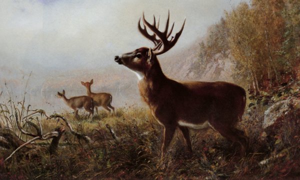 A Tempting Shot by Arthur Fitzwilliam Tait - Hand-Painted Oil Painting Reproduction