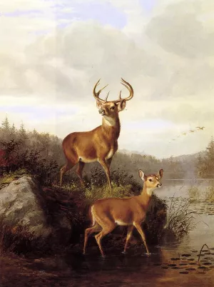 Buck and Doe by Arthur Fitzwilliam Tait - Oil Painting Reproduction