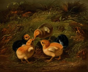 Chickens by Arthur Fitzwilliam Tait Oil Painting