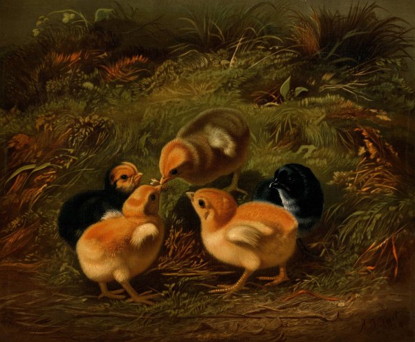 Chickens  by Arthur Fitzwilliam Tait - Hand-Painted Oil Painting Reproduction