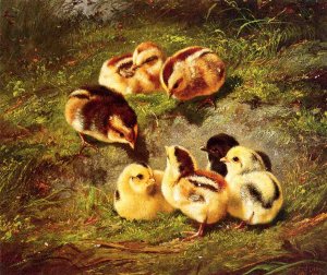 Chickens by Arthur Fitzwilliam Tait Oil Painting