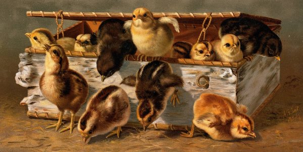 Main Product Photo of Dash for Liberty  Painting by Arthur Fitzwilliam Tait